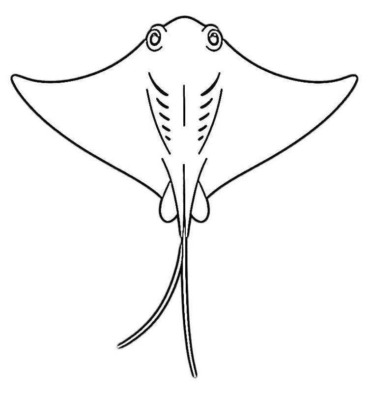 Çizmek Vatoz temel Boyama Sayfası