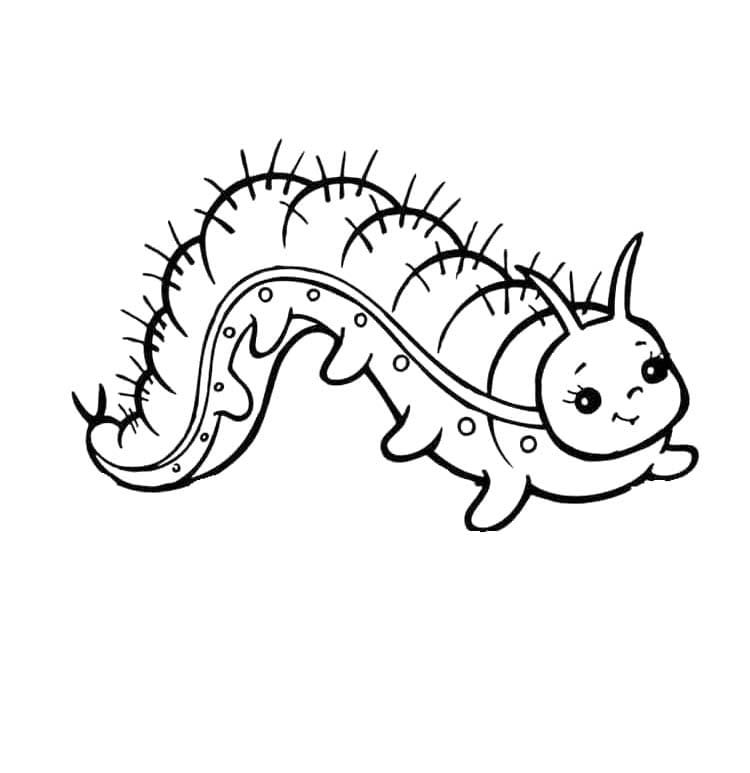 Çocuklar için tırtıl yazdırılabilir Boyama Sayfası