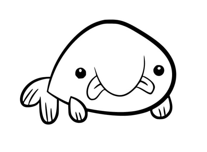 Damla Balığı Ücretsiz yazdırılabilir Boyama Sayfası