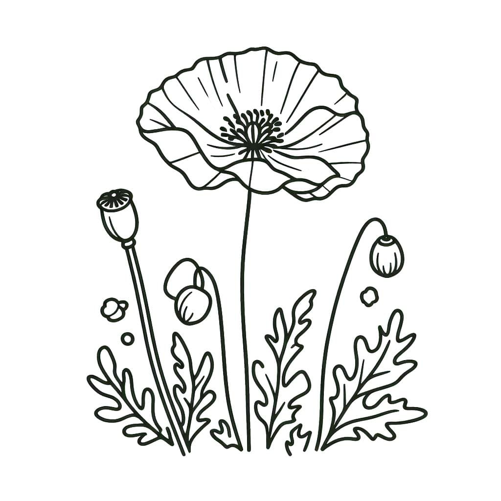 Gelincik 1 Boyama Sayfası