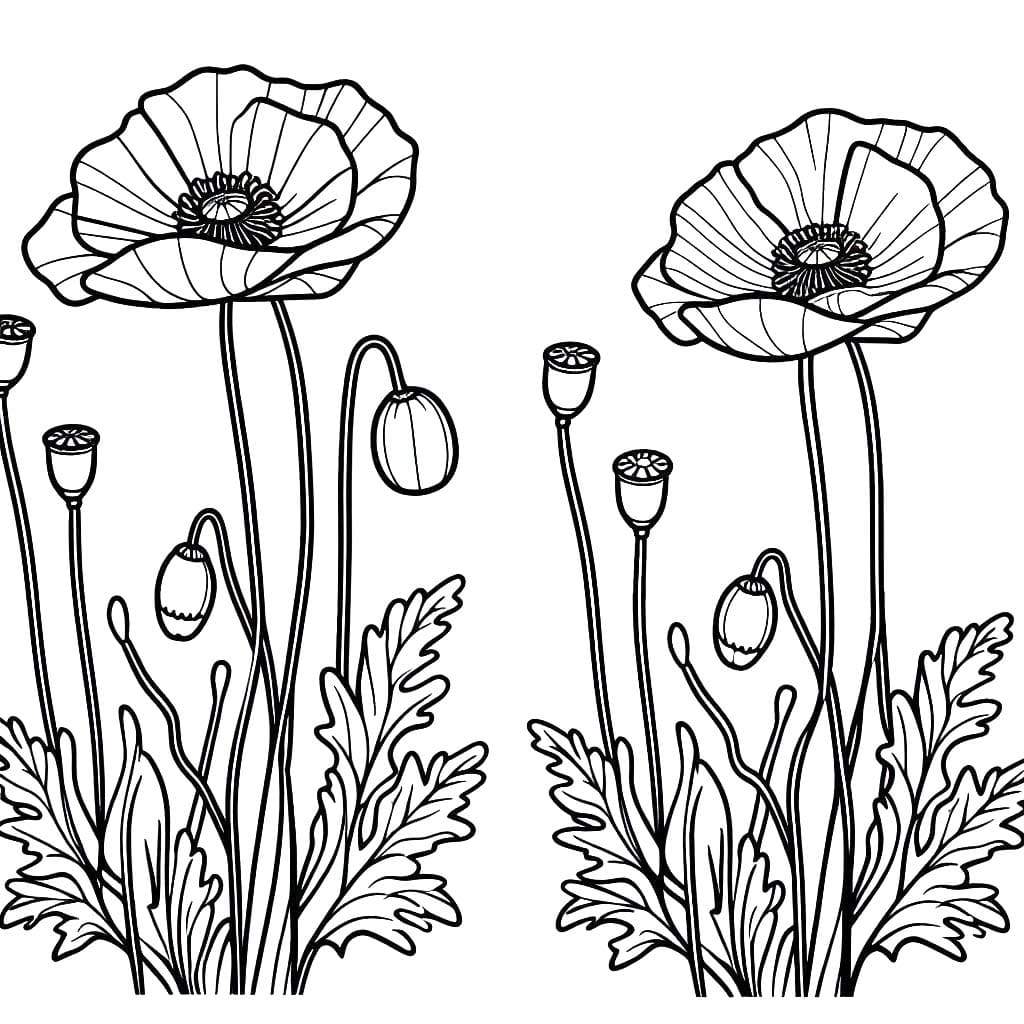 Gelincik 11 Boyama Sayfası