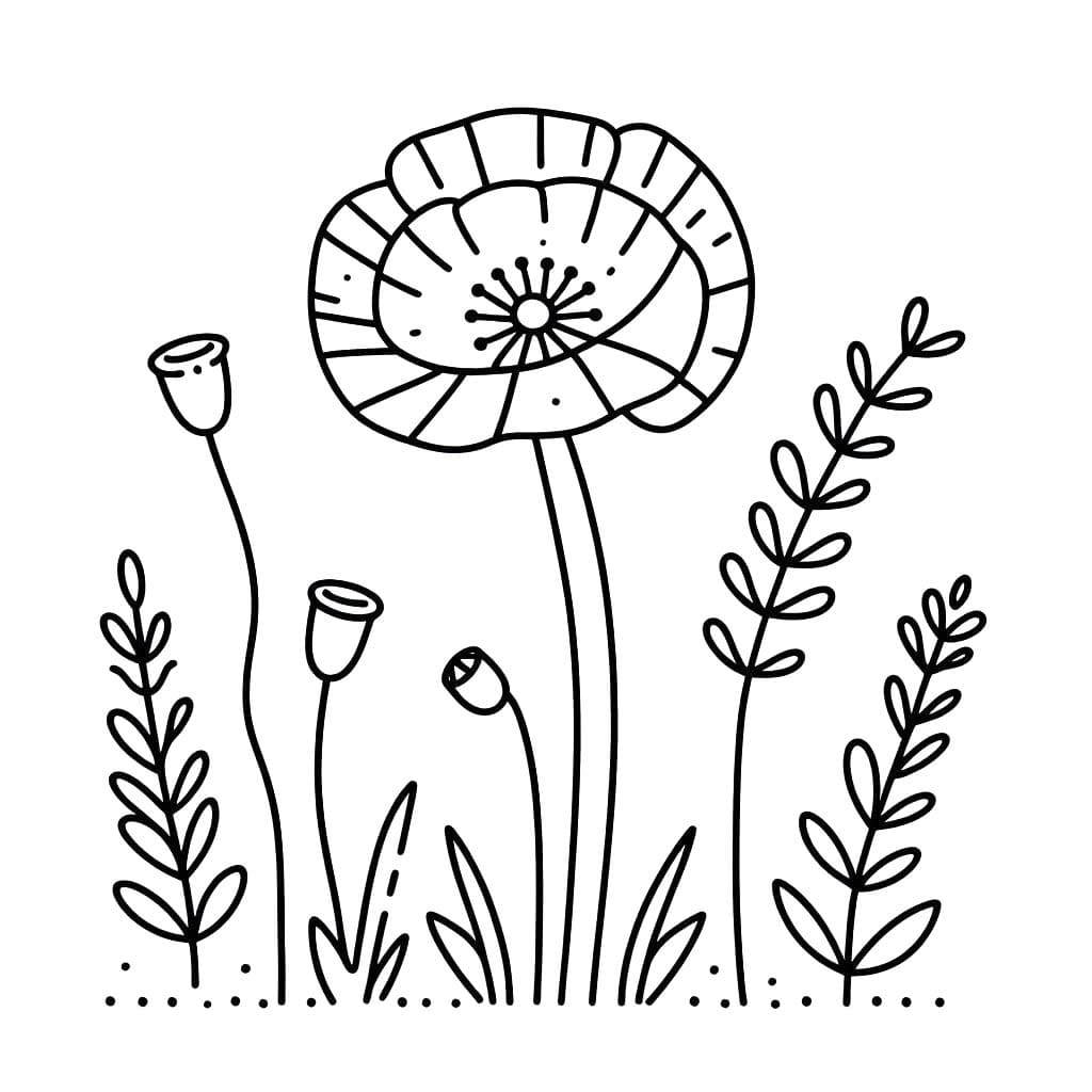 Gelincik 12 Boyama Sayfası