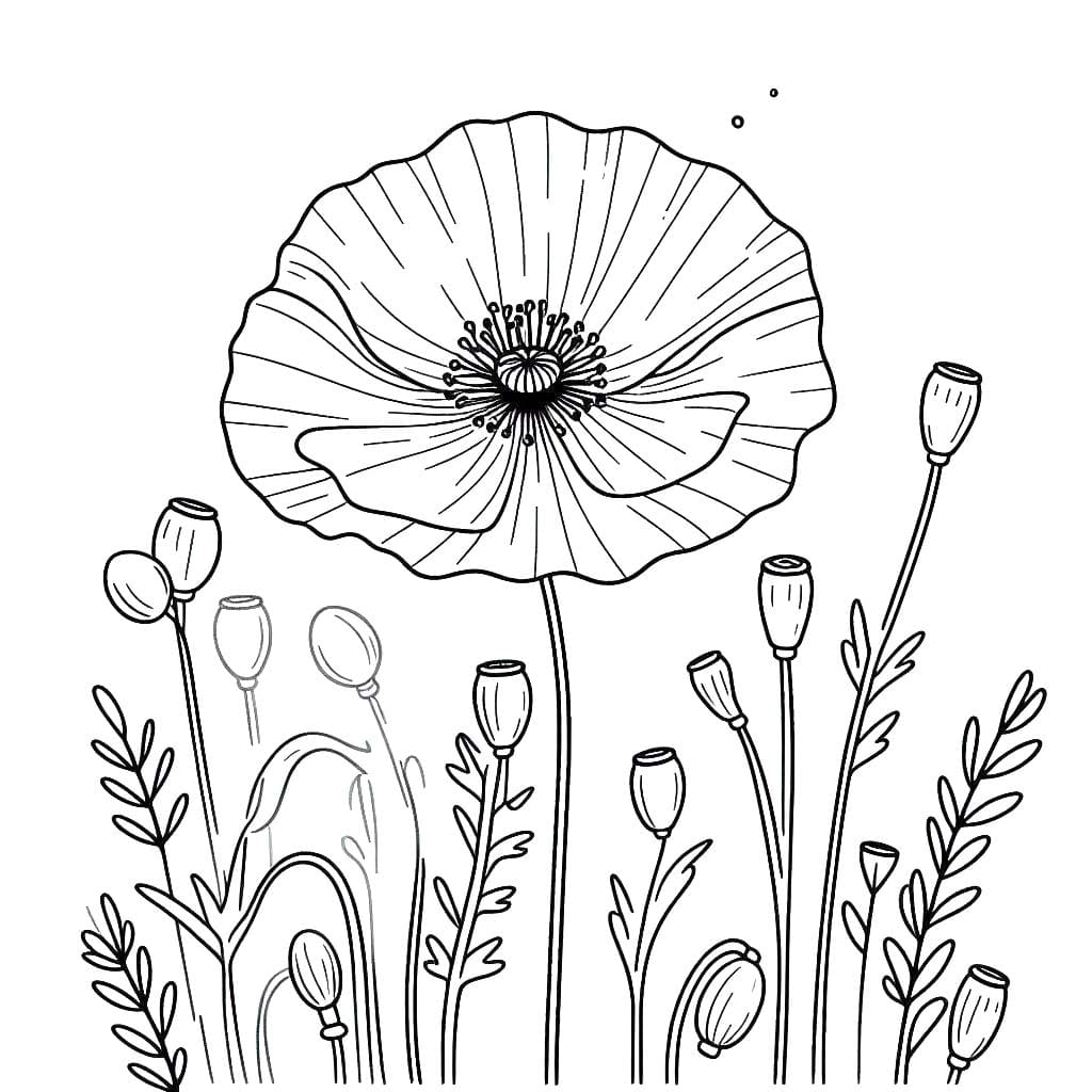 Gelincik 2 Boyama Sayfası