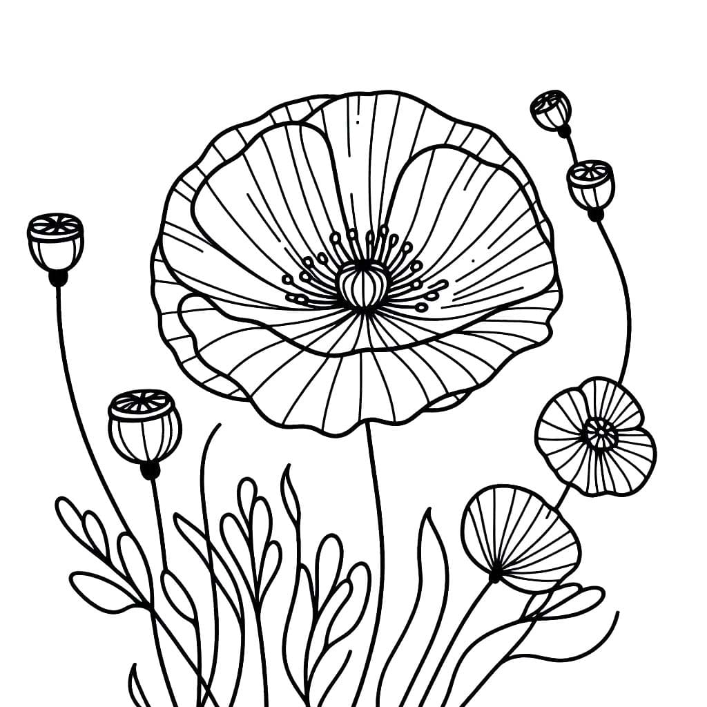 Gelincik 3 Boyama Sayfası