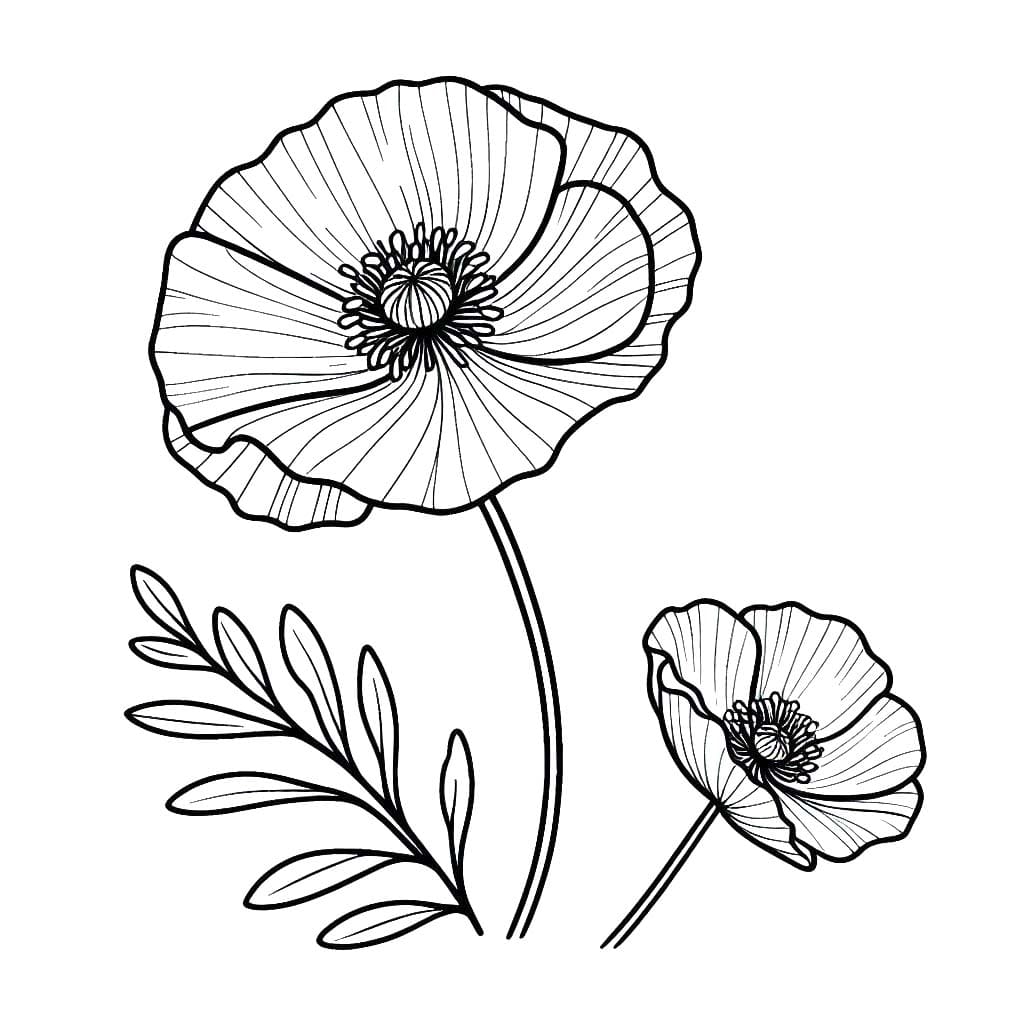 Gelincik 4 Boyama Sayfası