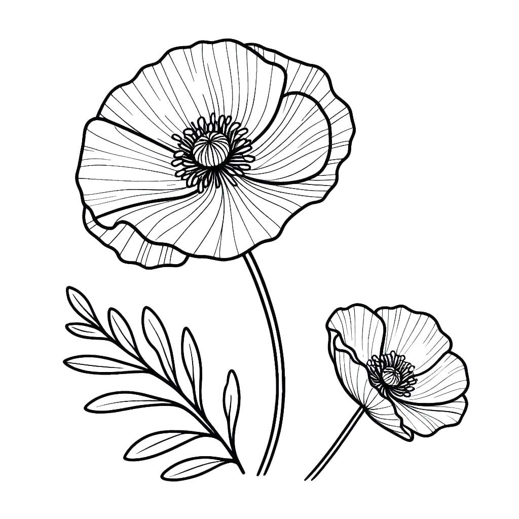 Gelincik 5 Boyama Sayfası