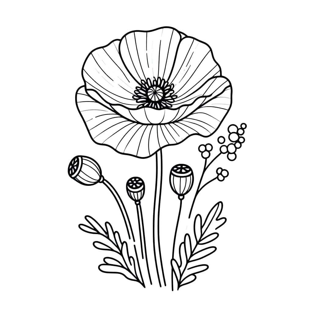 Gelincik 6 Boyama Sayfası