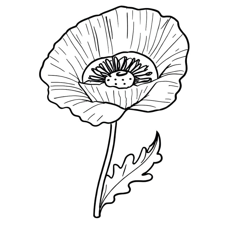 Gelincik Çiçek sevimli Boyama Sayfası