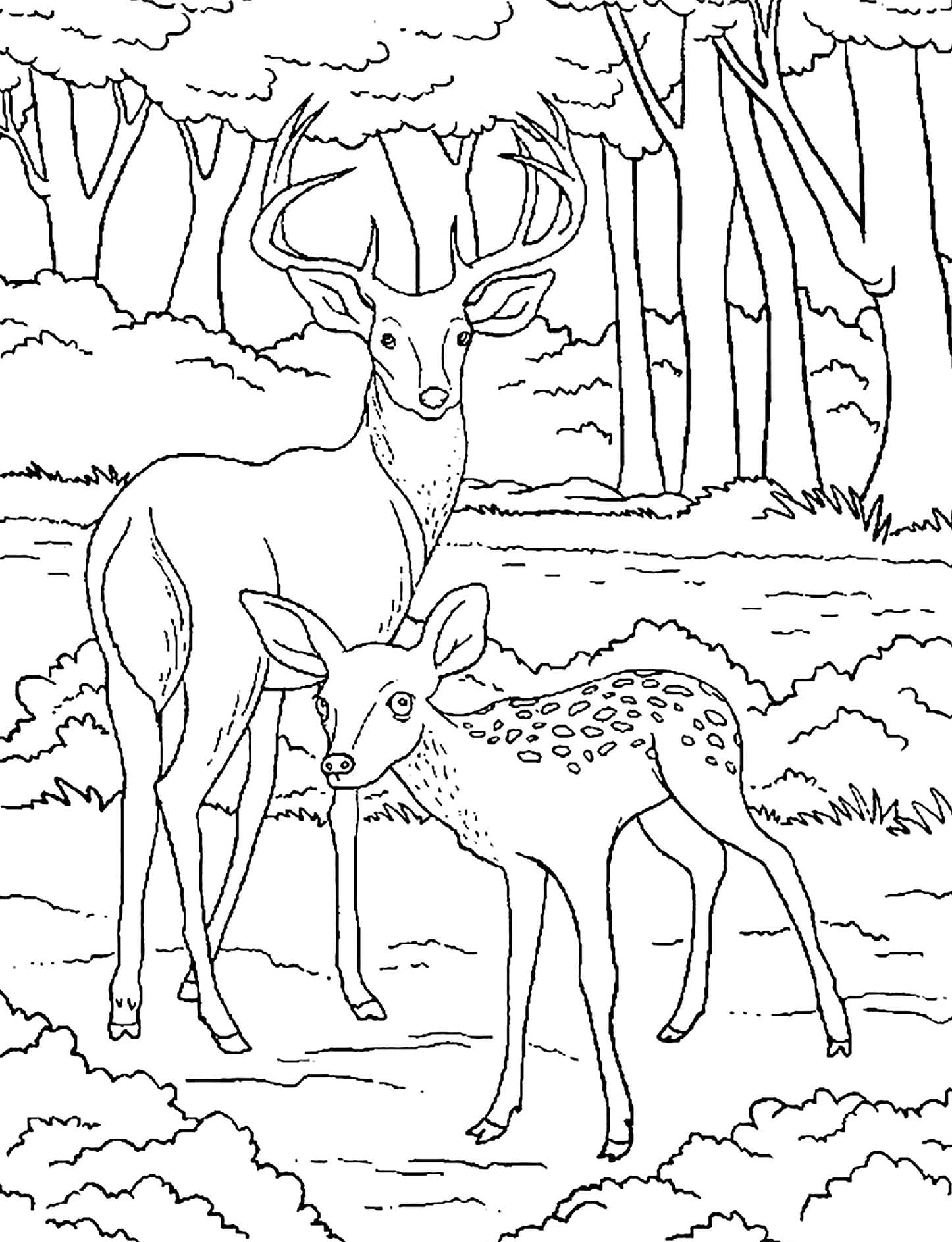 Geyik Çizimi 3 Boyama Sayfası