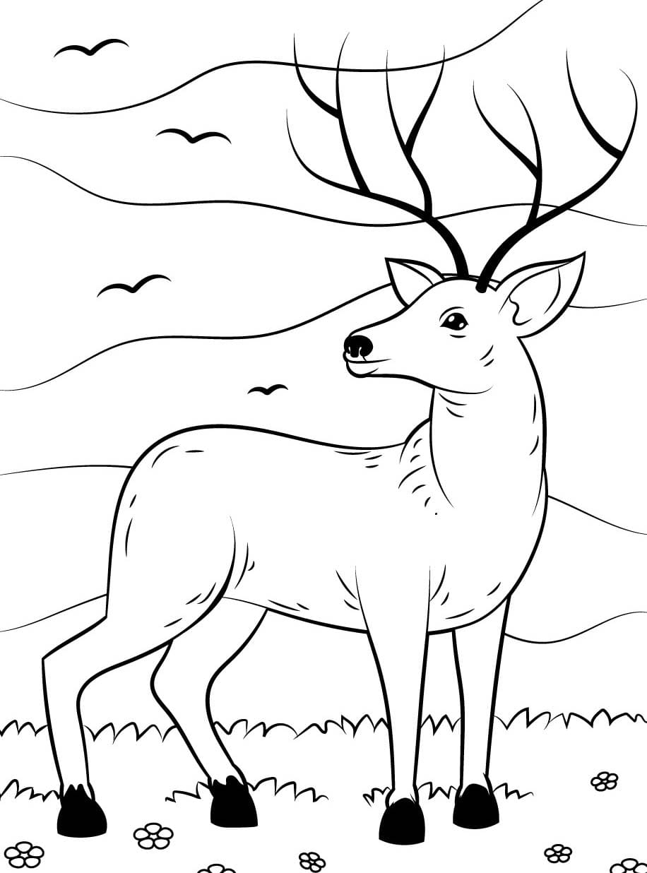 Geyik Çizimi 7 Boyama Sayfası