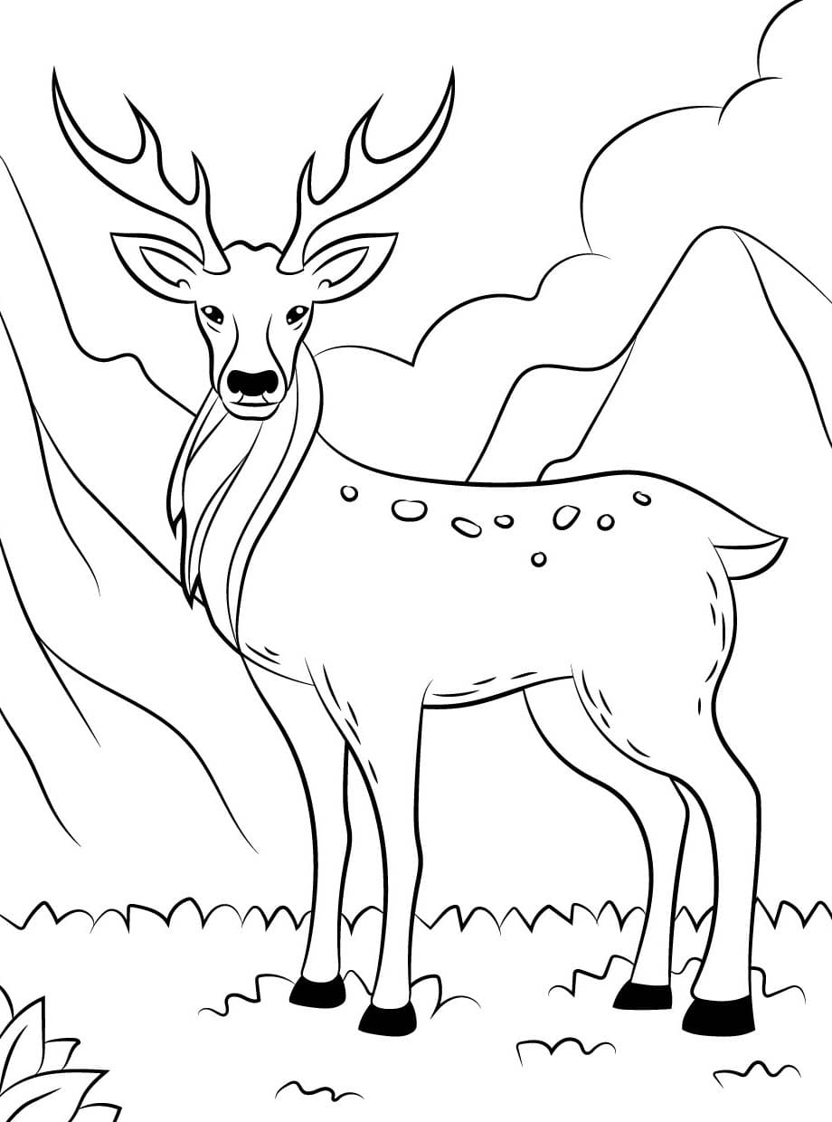 Geyik Çizimi 8 Boyama Sayfası