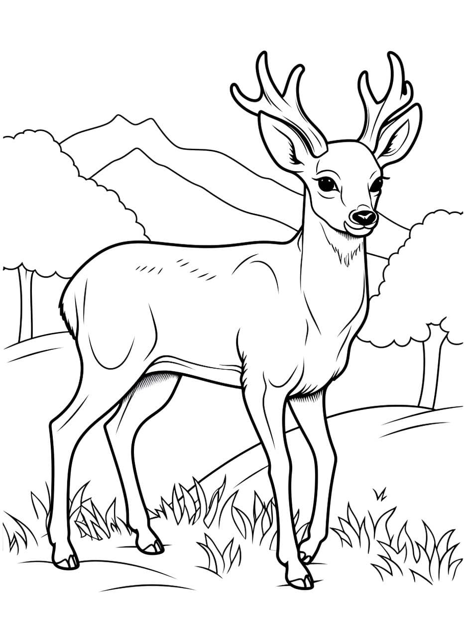 Geyik ücretsiz çiz Boyama Sayfası