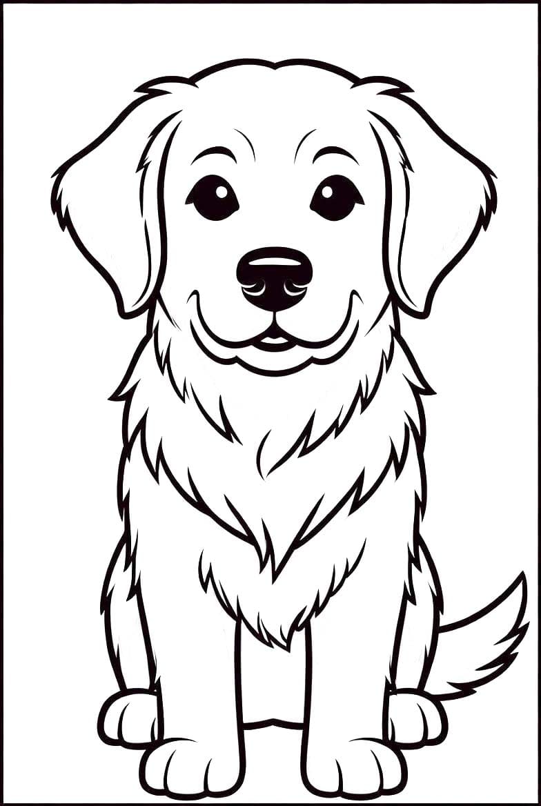 Golden Retriever ücretsiz Boyama Sayfası
