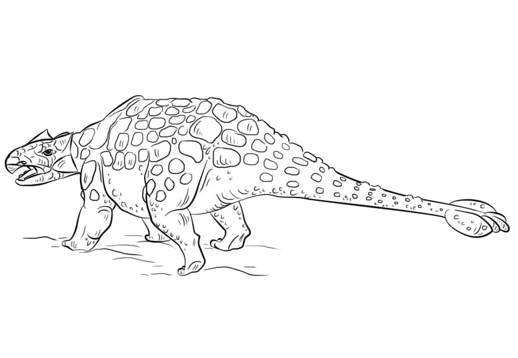 Görüntü Ankylosaurus Boyama Sayfası
