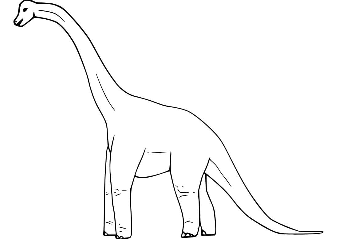 Görüntü Brachiosaurus Basit Boyama Sayfası