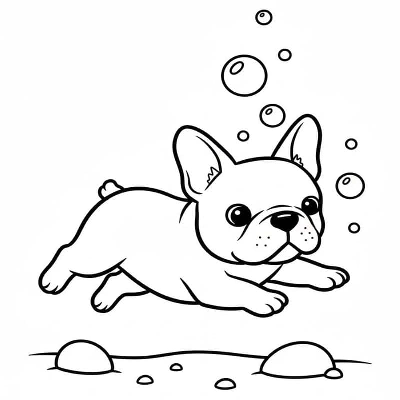 Görüntü Fransız Bulldog Temel Boyama Sayfası