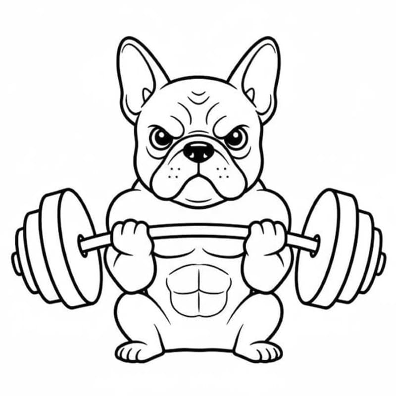 Görüntü Fransız Bulldog Boyama Sayfası