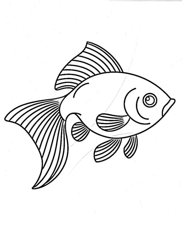 Görüntü Japon Balığı Boyama Sayfası