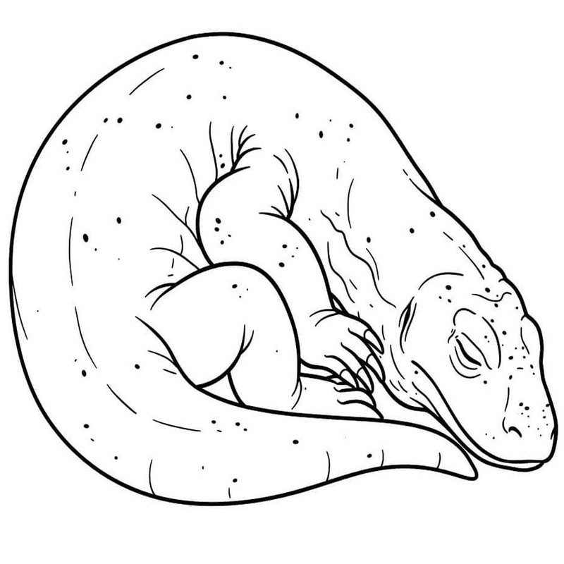 Görüntü Komodo Ejderi Basit Boyama Sayfası