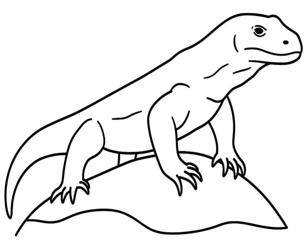Görüntü Komodo Ejderi yazdırılabilir Boyama Sayfası