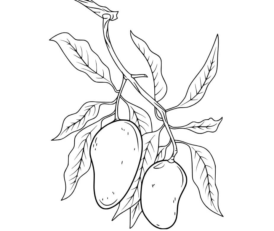 Görüntü Mango yazdırılabilir Boyama Sayfası