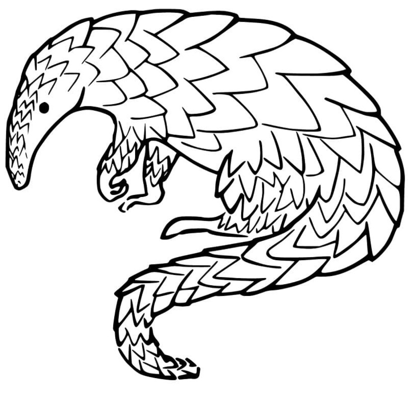 Görüntü Pangolin ücretsiz Boyama Sayfası