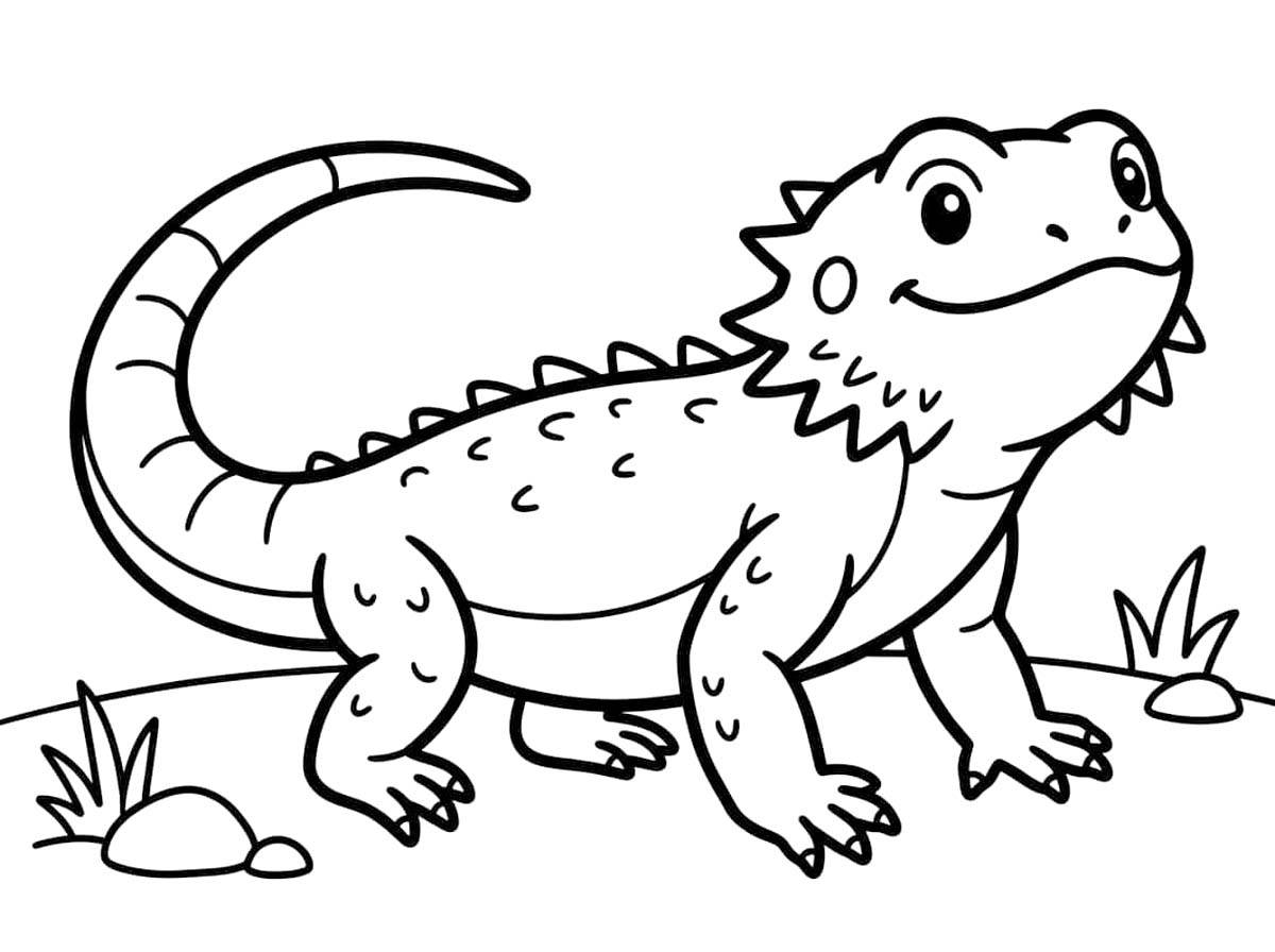 Görüntü Sakallı Ejderha Kolay Boyama Sayfası