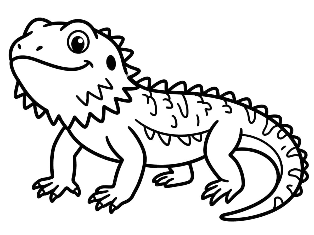 Görüntü Sakallı Ejderha Temel Boyama Sayfası