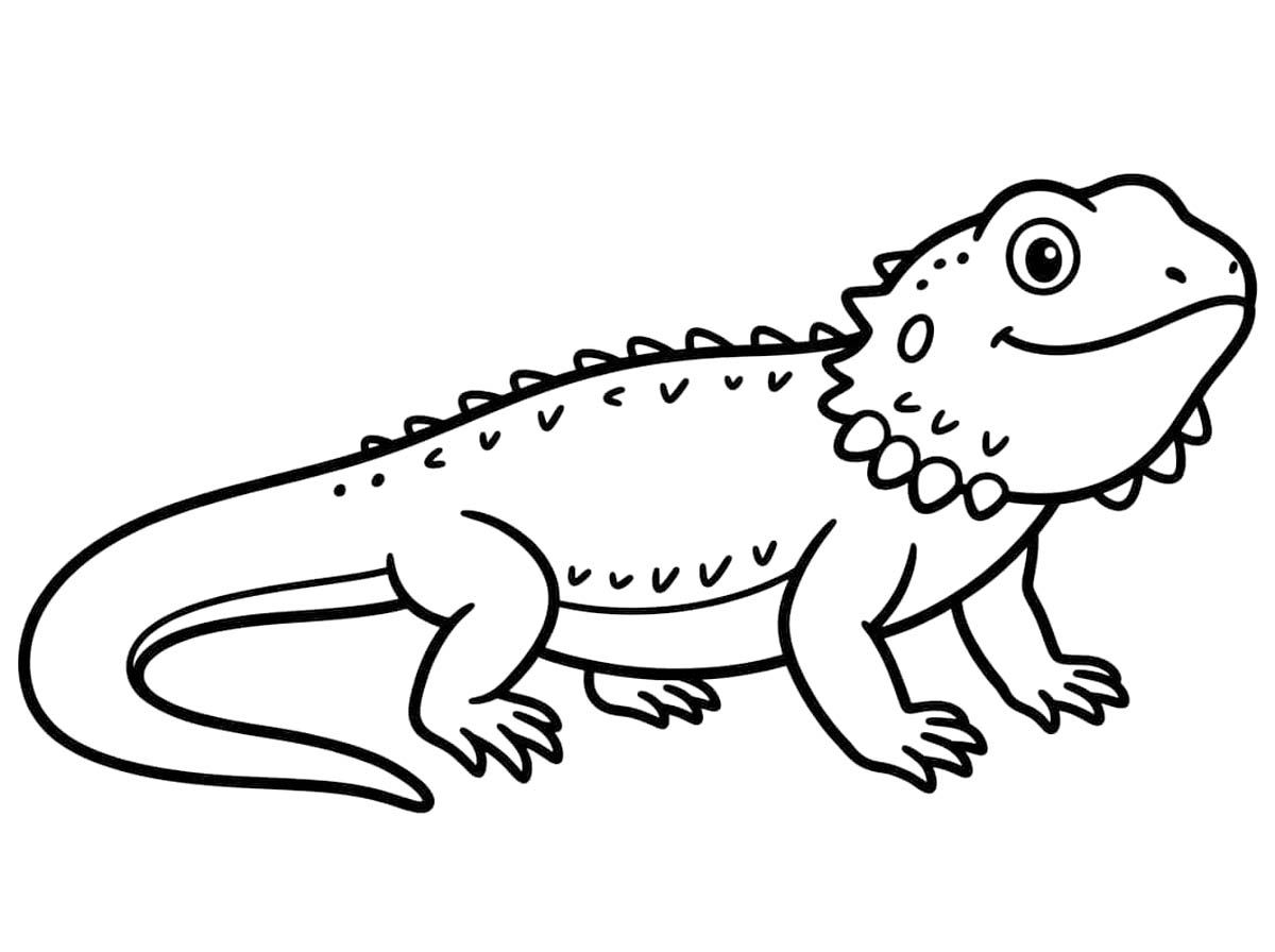 Görüntü Sakallı Ejderha yazdırılabilir Boyama Sayfası