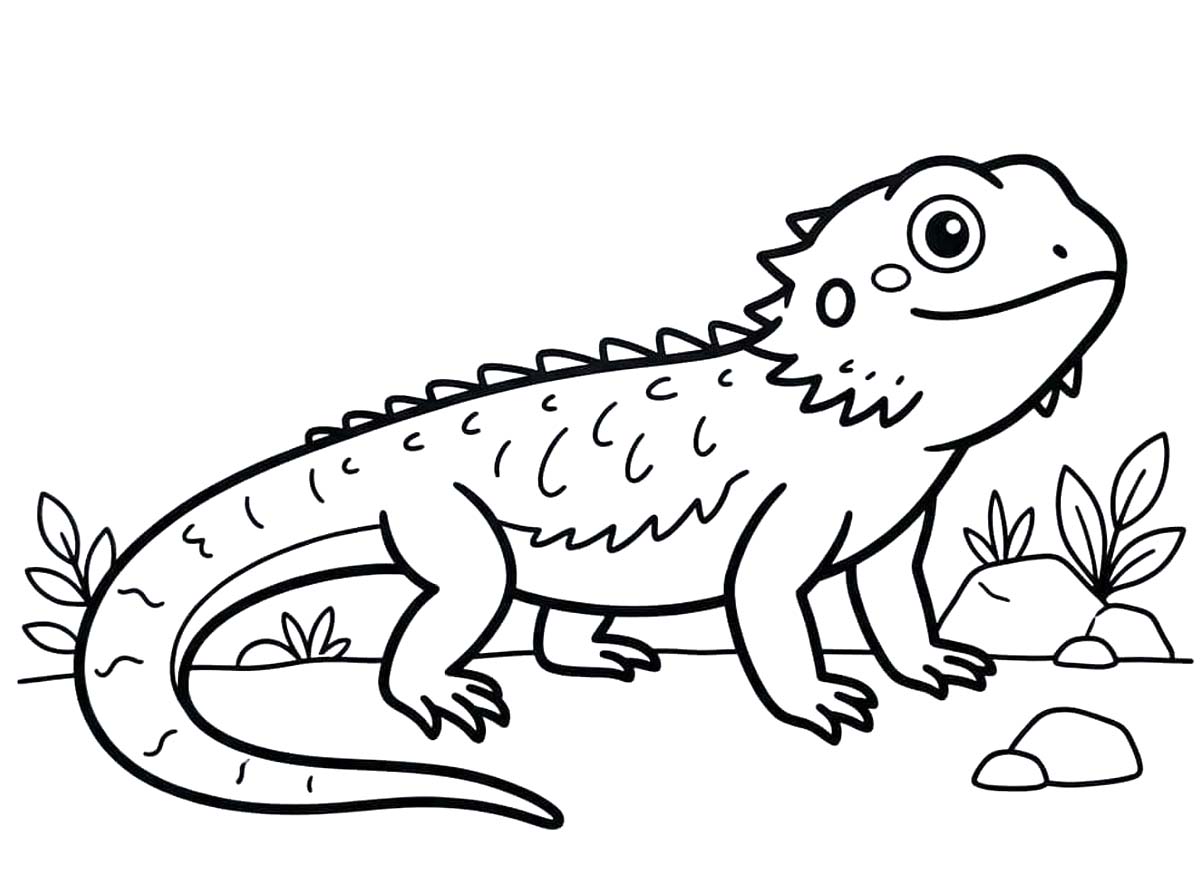 Görüntü Sakallı Ejderha Boyama Sayfası