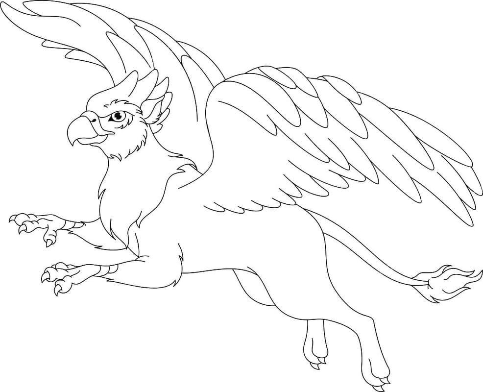Griffon Çizim Boyama Sayfası