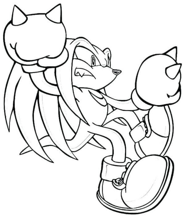 Güzel Ekidne Knuckles Boyama Sayfası