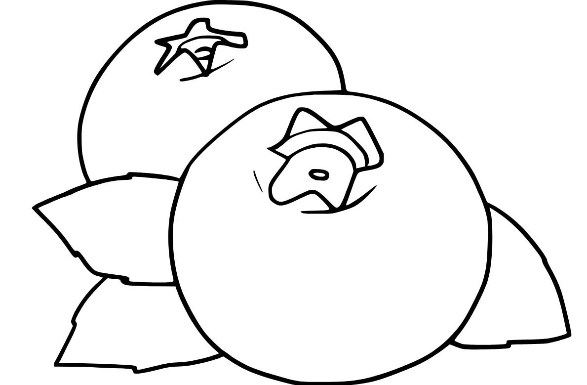 İki Yaban Mersini Boyama Sayfası