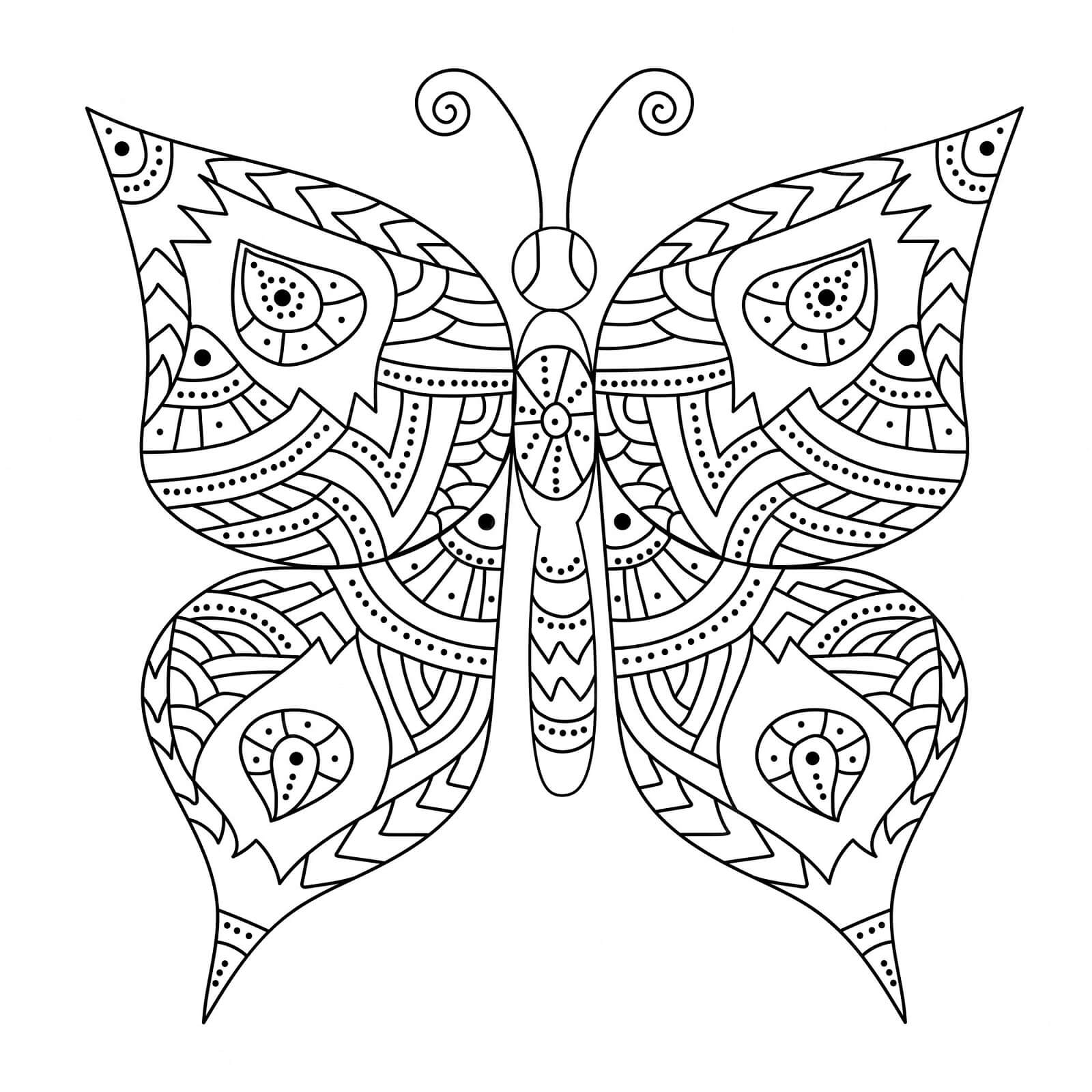 Yüz boyama kelebek kolay