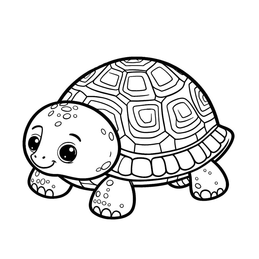 Kaplumbağa 5 Boyama Sayfası