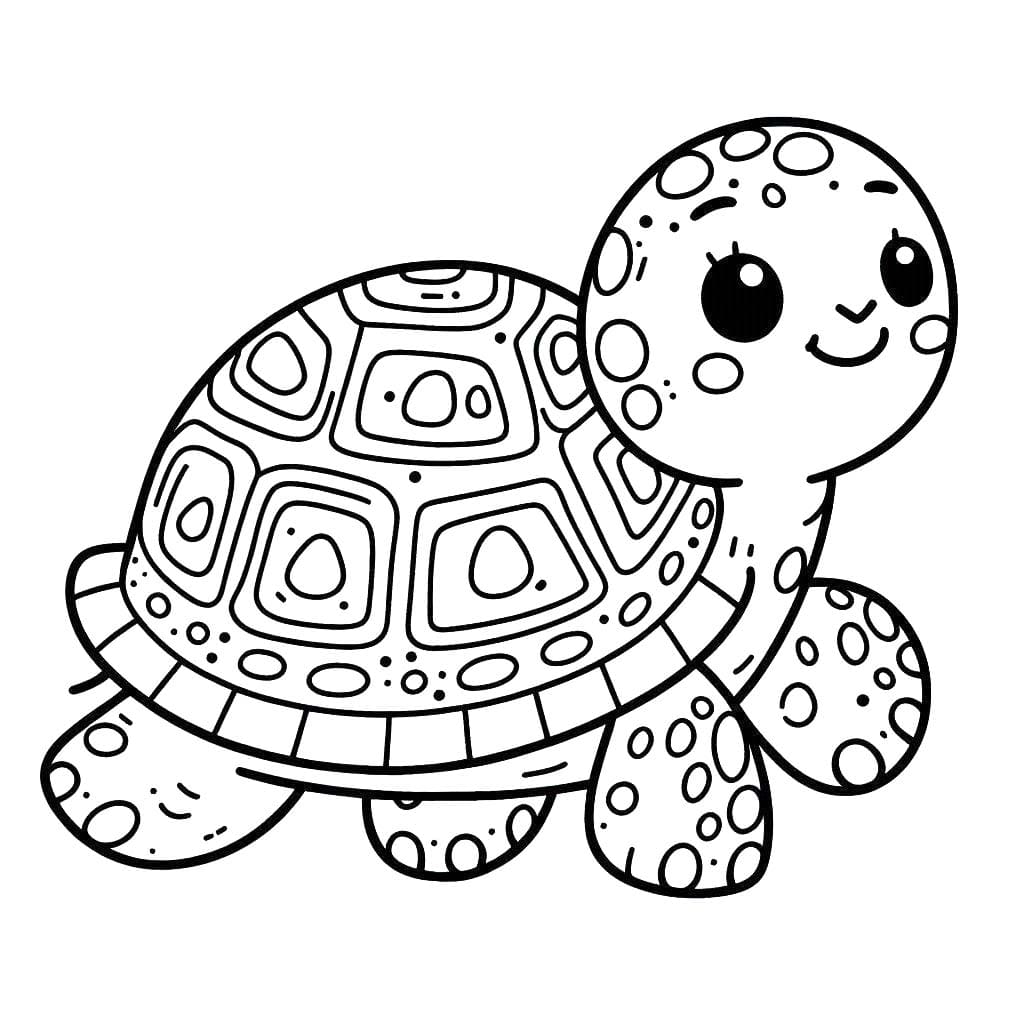 Kaplumbağa Basit Çizimi Boyama Sayfası