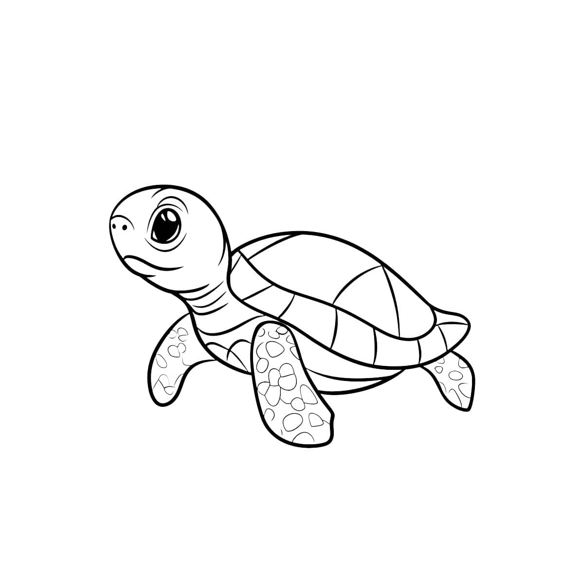 Kaplumbağa'yı ücretsiz çiz Boyama Sayfası
