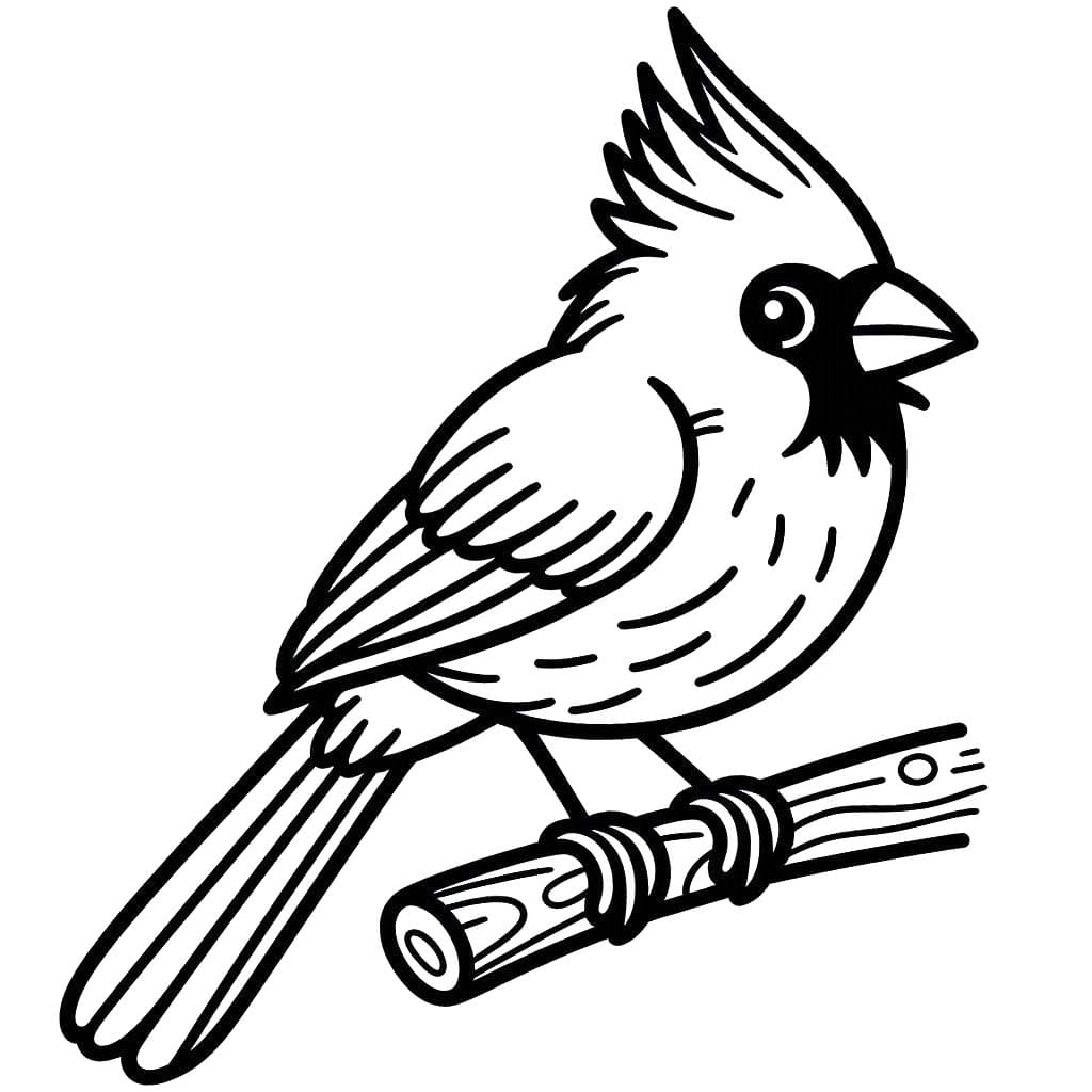 Kardinal Ücretsiz Boyama Sayfası