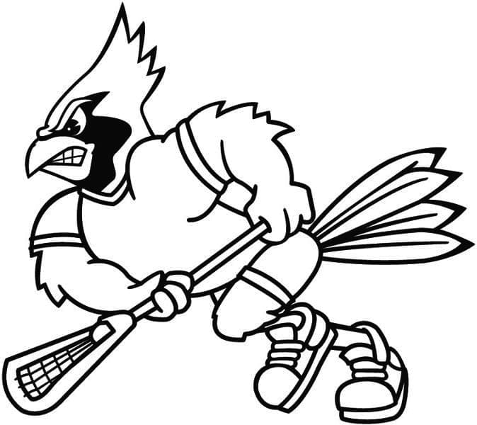 Kardinal çocuklar için temel Boyama Sayfası