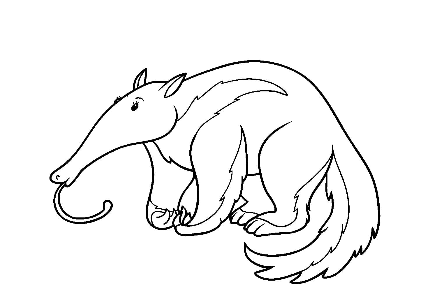 Karıncayiyen 1 Boyama Sayfası