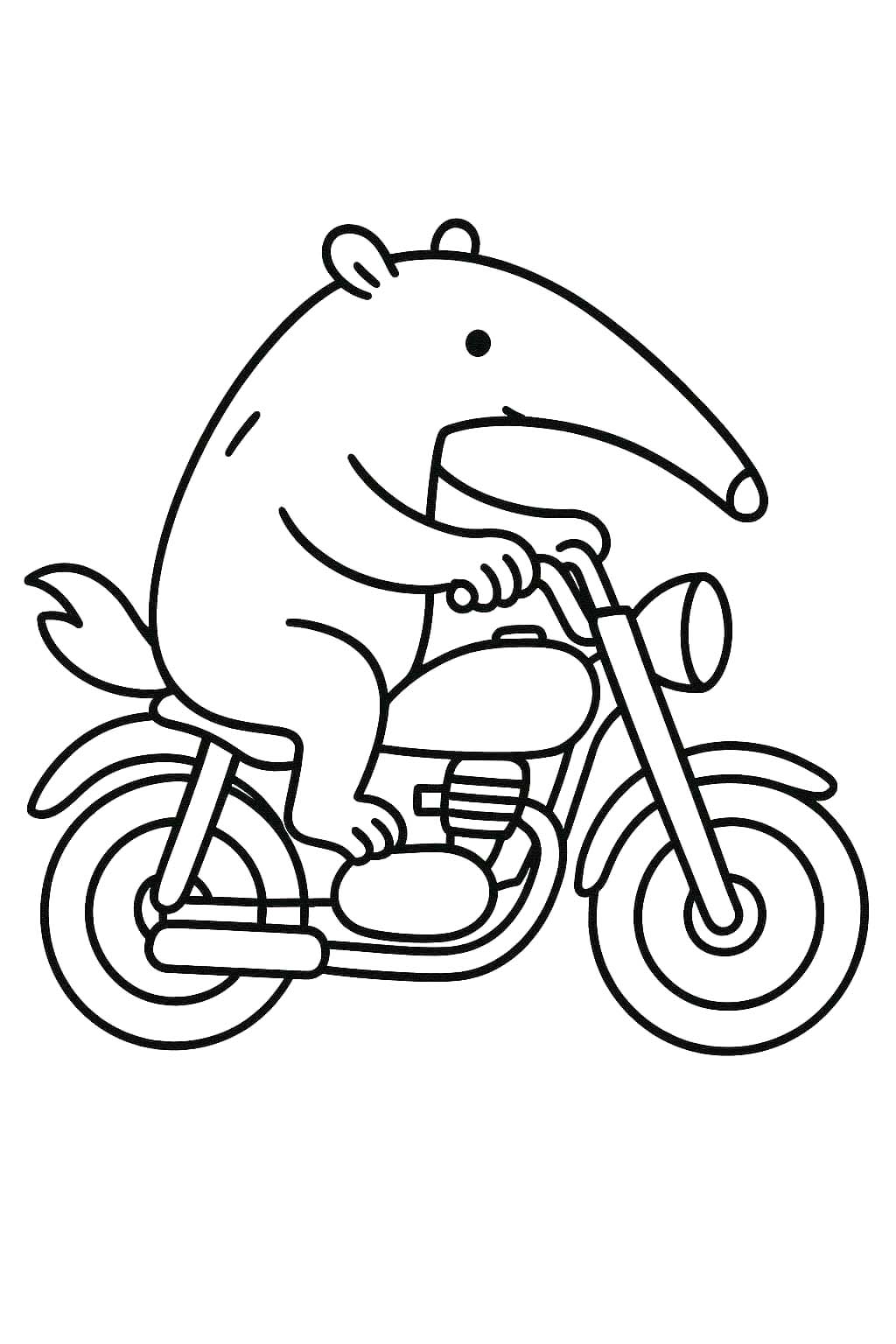 Karıncayiyen 3 Boyama Sayfası