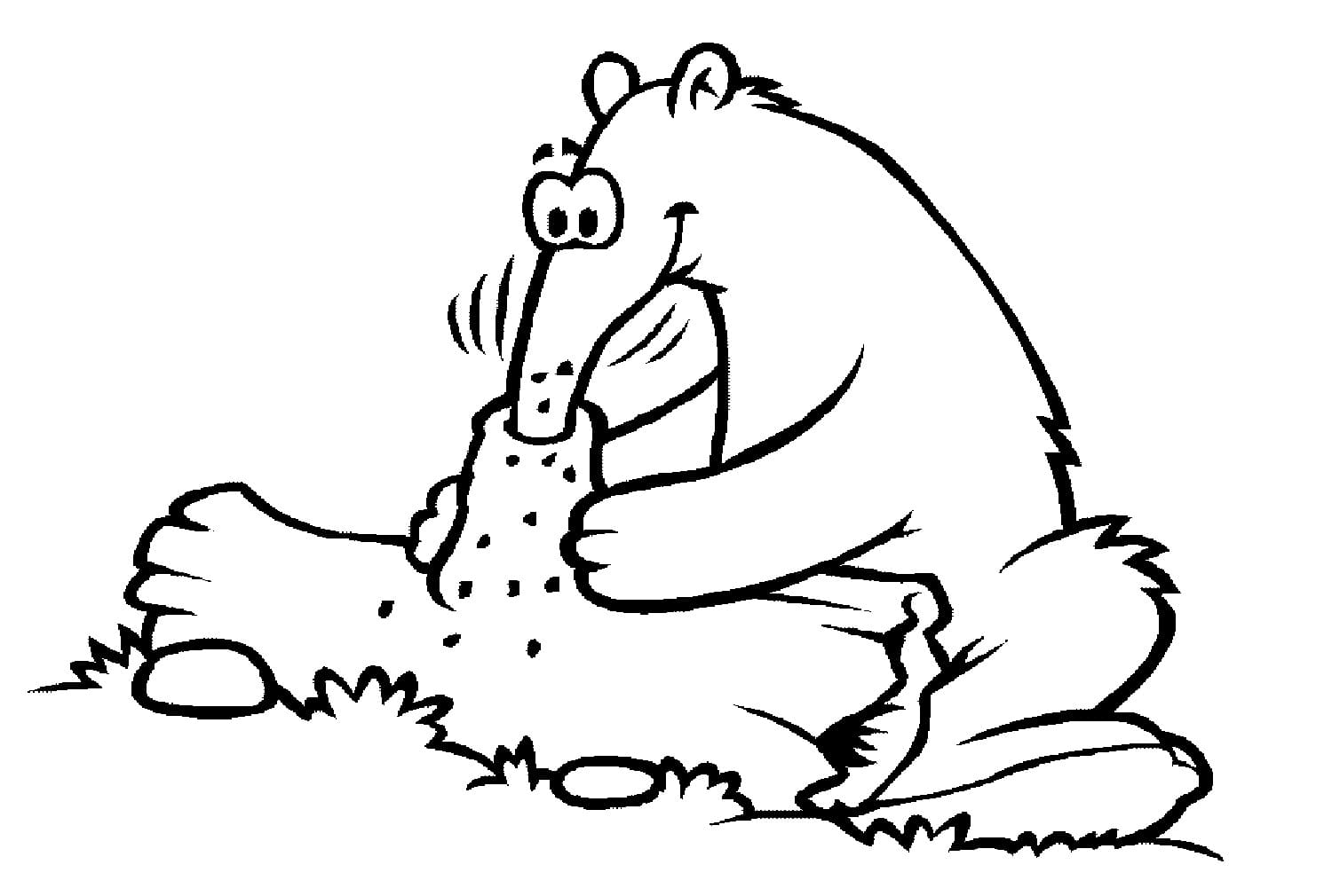 Karıncayiyen 6 Boyama Sayfası