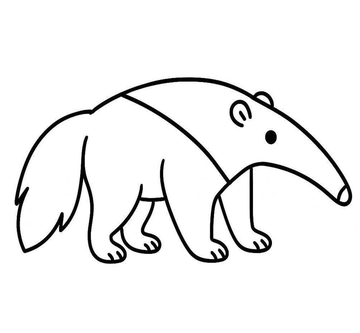 Karıncayiyen 7 Boyama Sayfası