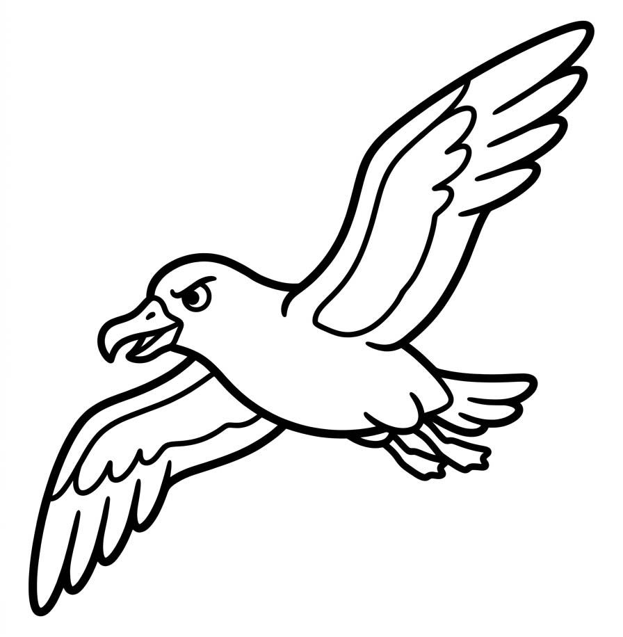 Kolay Albatros Çizim Boyama Sayfası