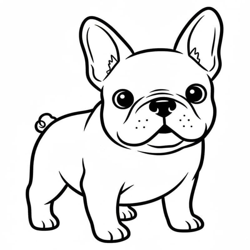 Kolay Fransız Bulldog Boyama Sayfası