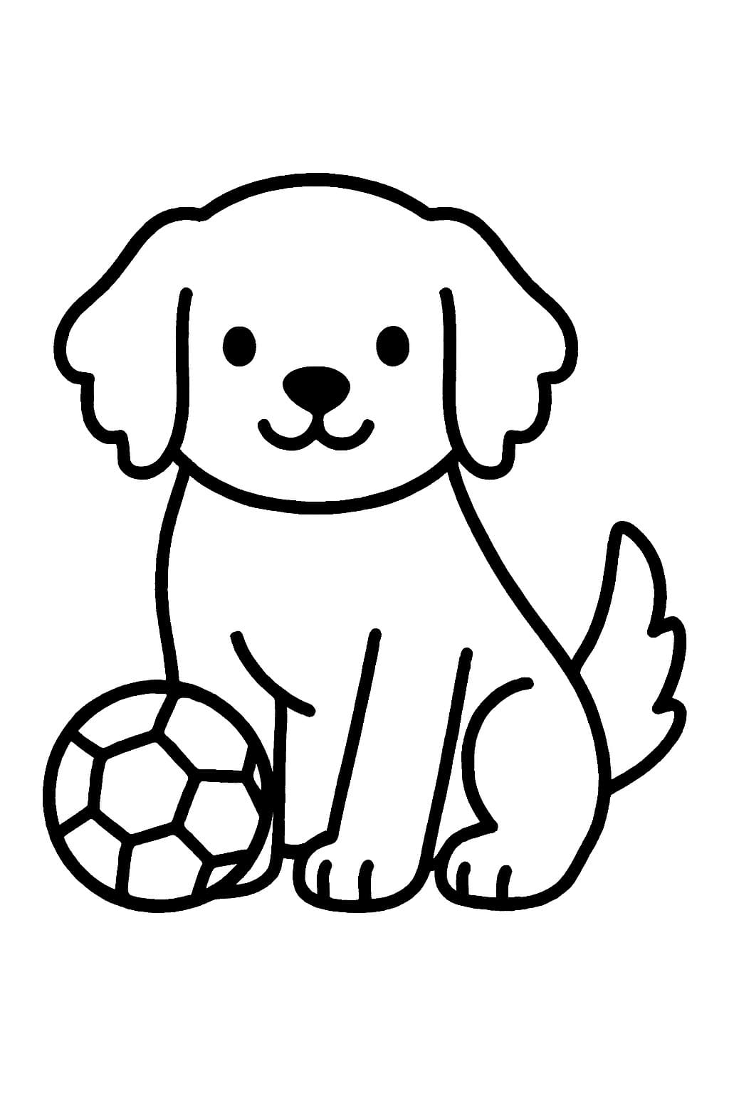 Kolay Golden Retriever Çizim Boyama Sayfası