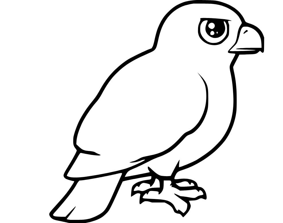 Kolay Karikatür Şahin Boyama Sayfası