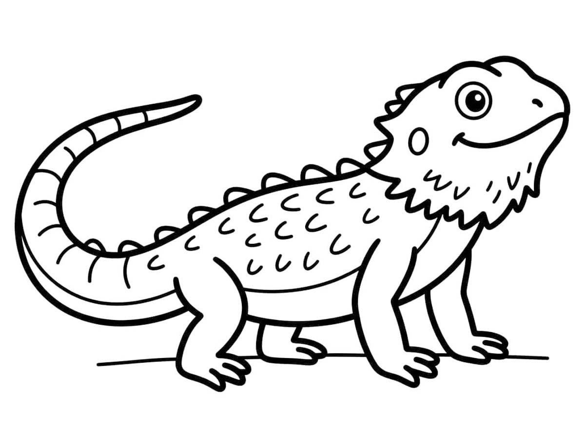 Kolay Sakallı Ejderha resim Boyama Sayfası