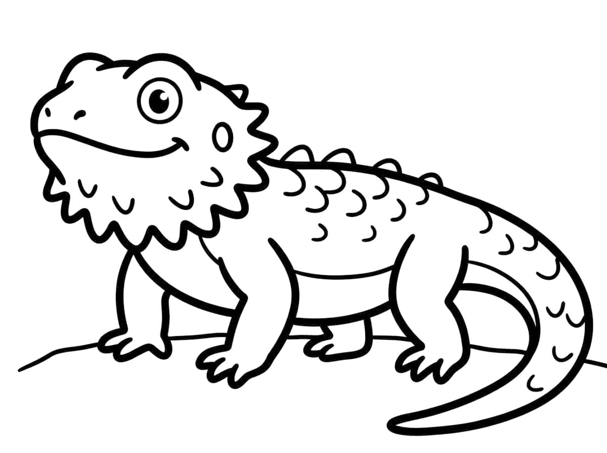 Kolay Sakallı Ejderha Boyama Sayfası