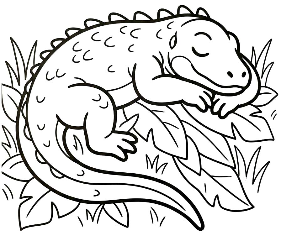 Komodo Ejderi Çizim Boyama Sayfası